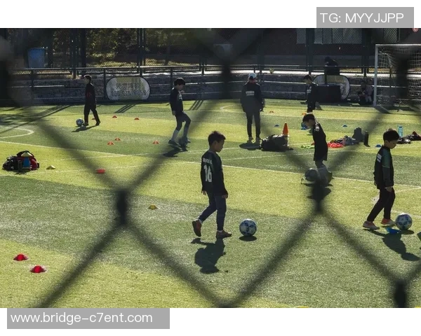 宜昌足球场周边文化活动丰富多彩让我们一起感受足球的热情与魅力